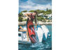 Slika Wakeboard JOBE LOGO