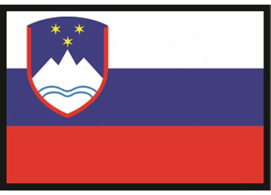 Slika Zastava Slovenije