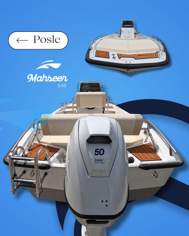 Mahseer posle